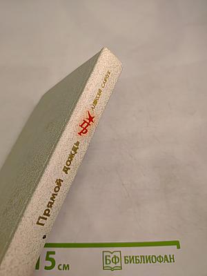 Прямой дождь