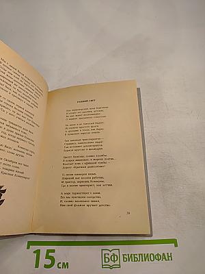 Мальчик с обручем