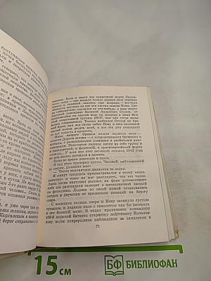 Непобежденный орешек