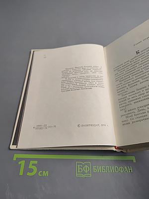 Меч и плуг. Повесть о Григории Котовском