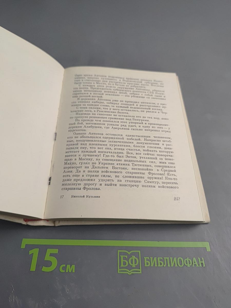 Меч и плуг. Повесть о Григории Котовском