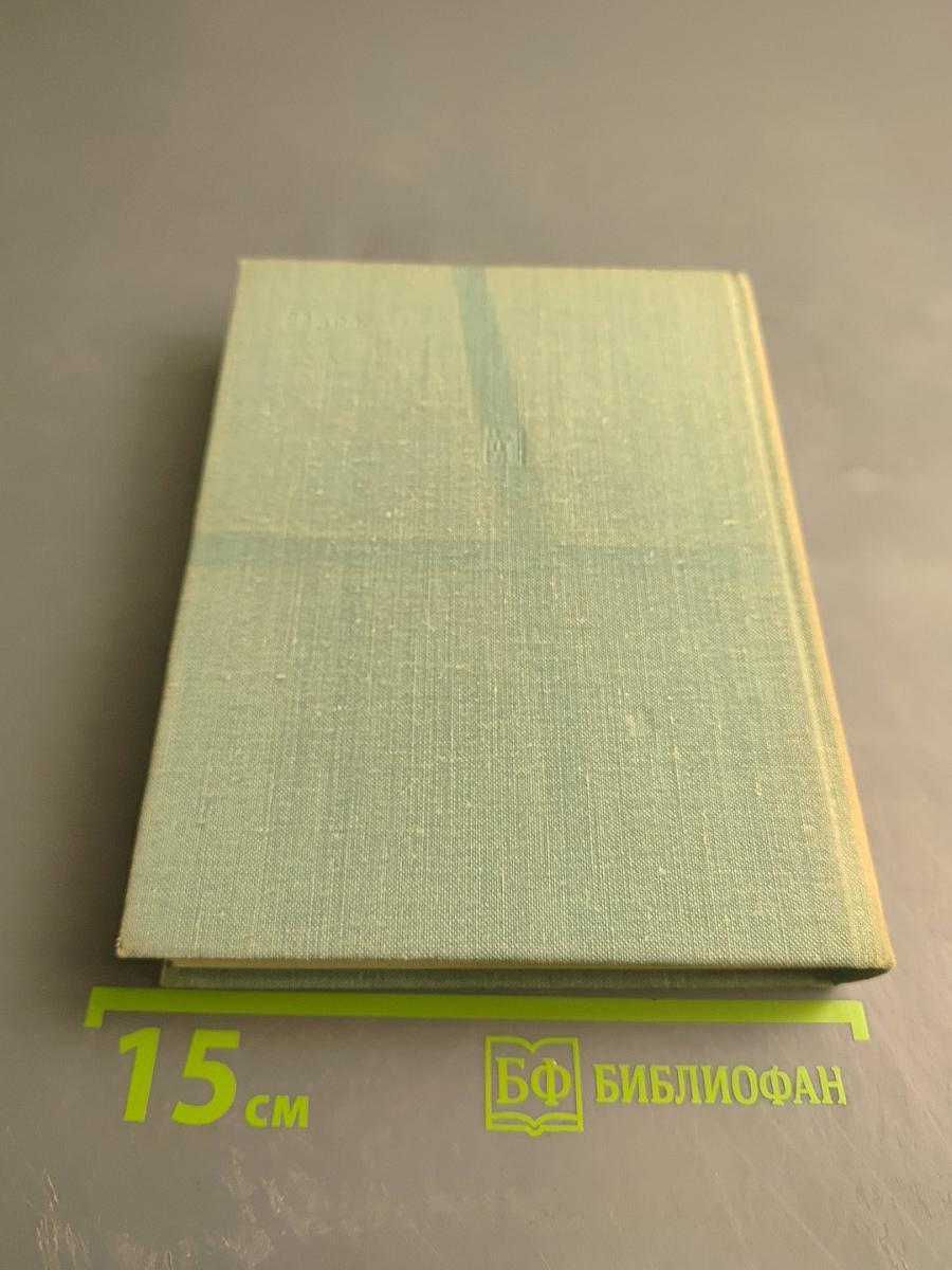 Ольховая аллея