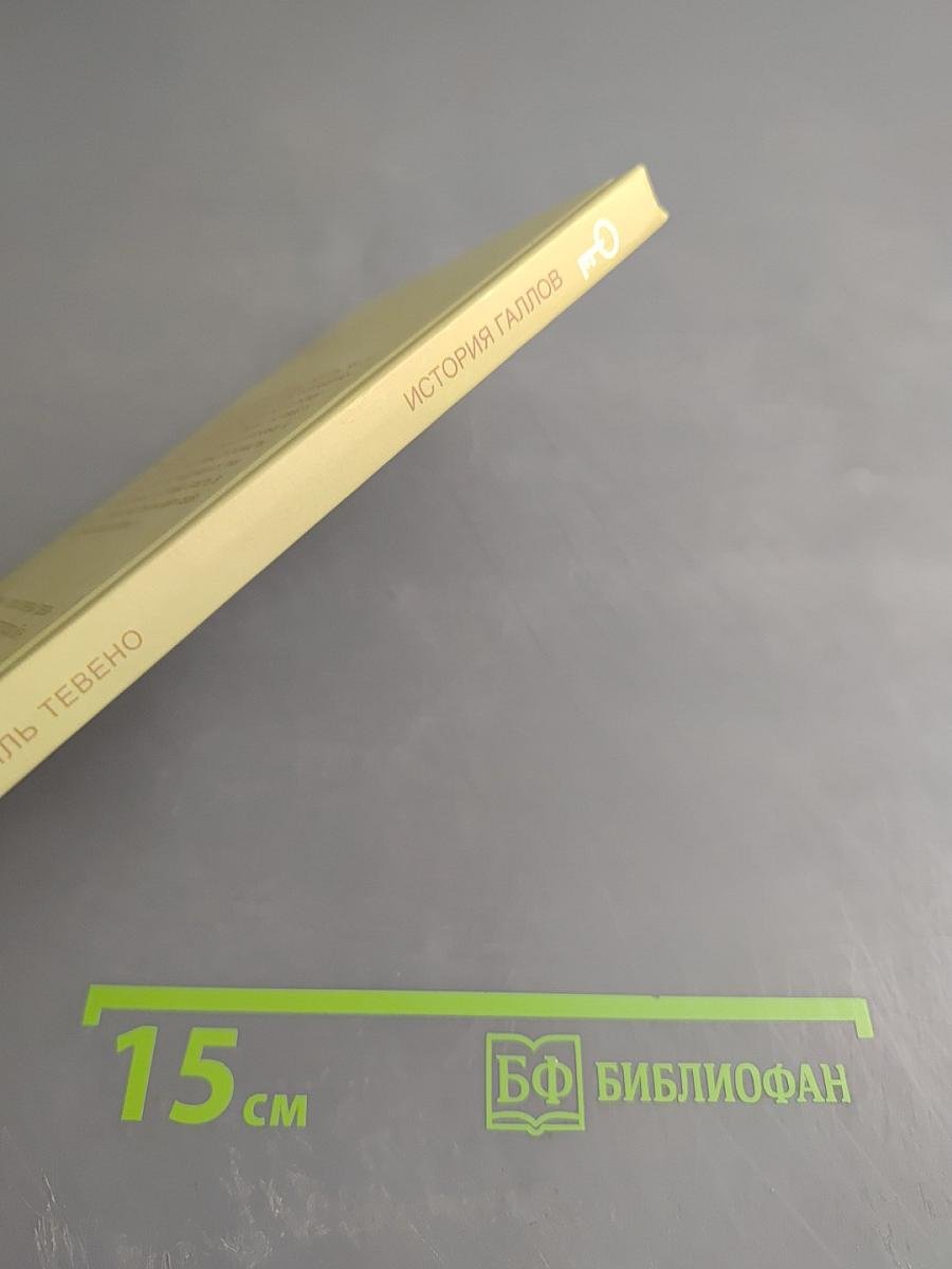 История Галлов