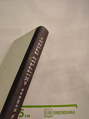 Могучая кучка