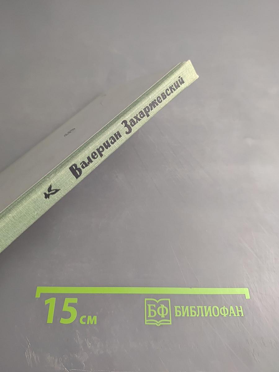 Видеть и не видеть. Повести и рассказы