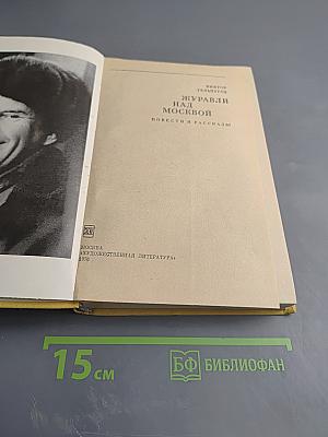 Журавли над Москвой