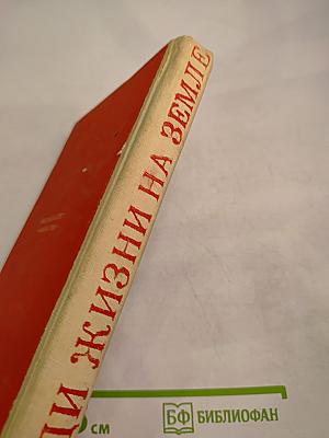 Ради жизни на Земле