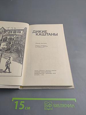 Дикие каштаны