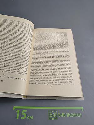 Дикие каштаны