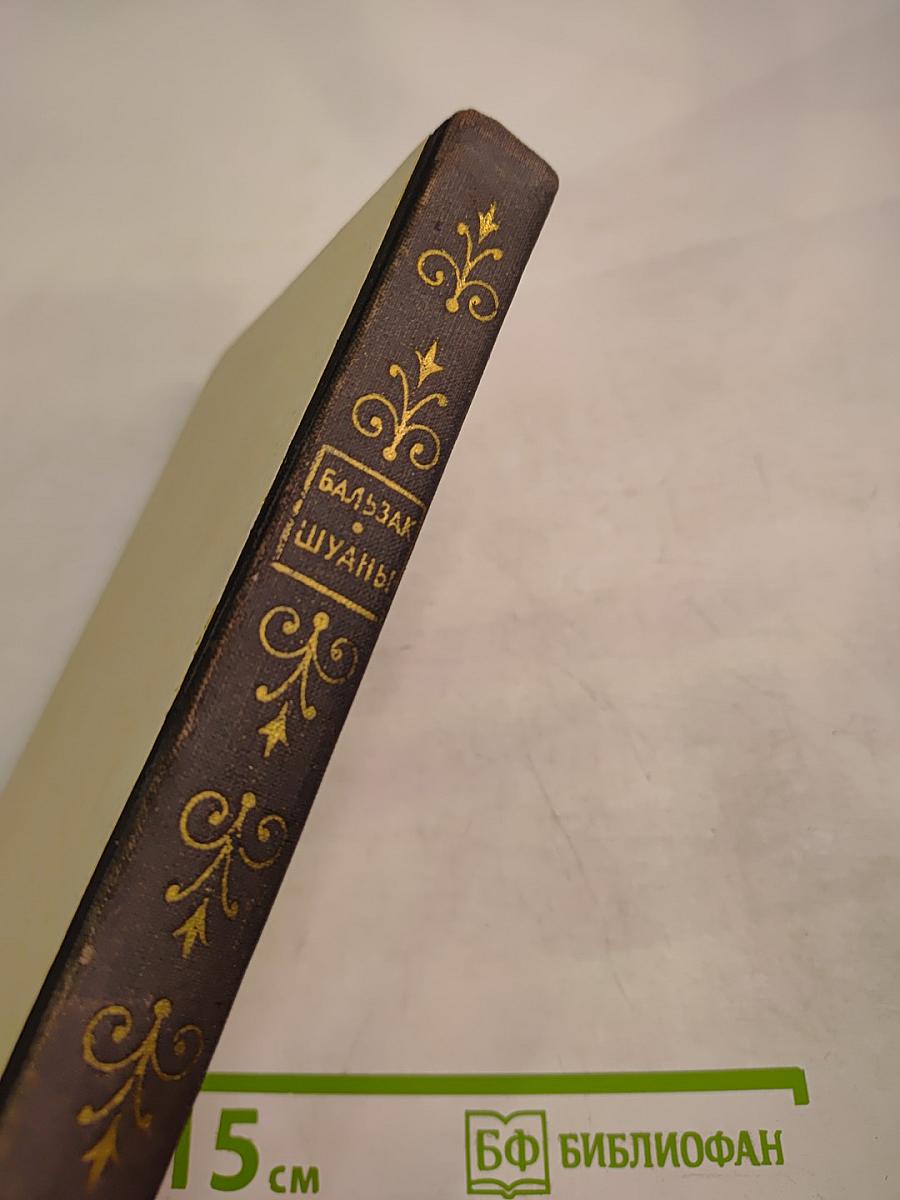 Шуаны или Бретань в 1799 году