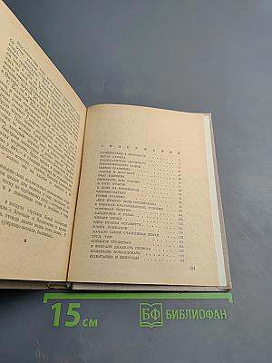 В Грозу и Бурю