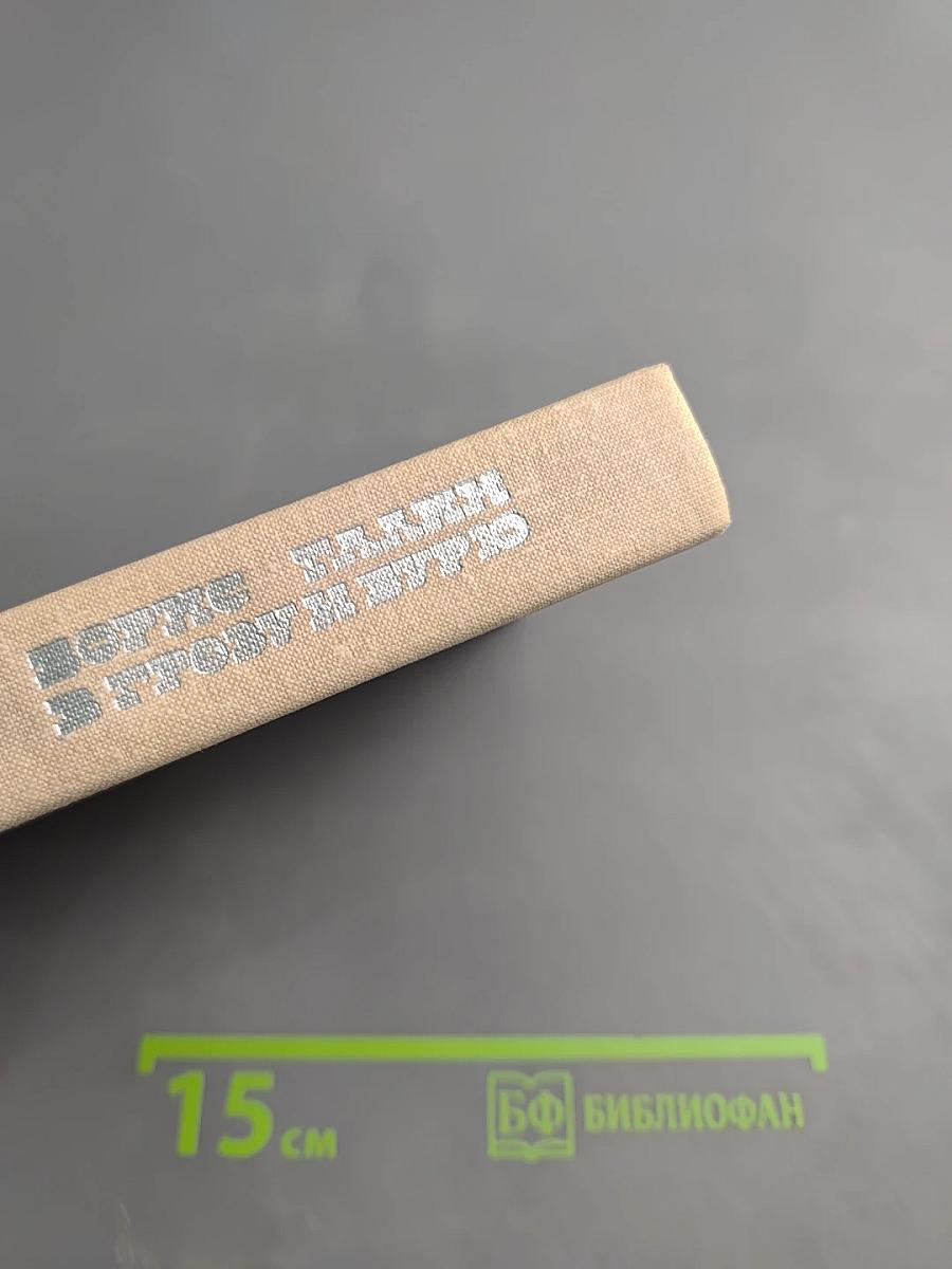 В Грозу и Бурю