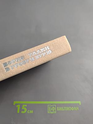 В Грозу и Бурю