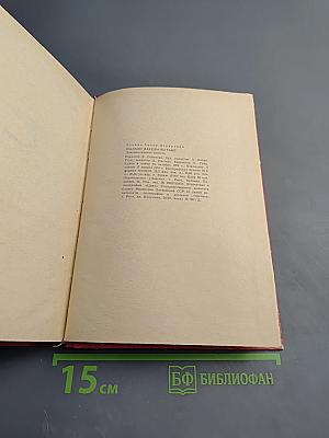 Пылали факелы во тьме