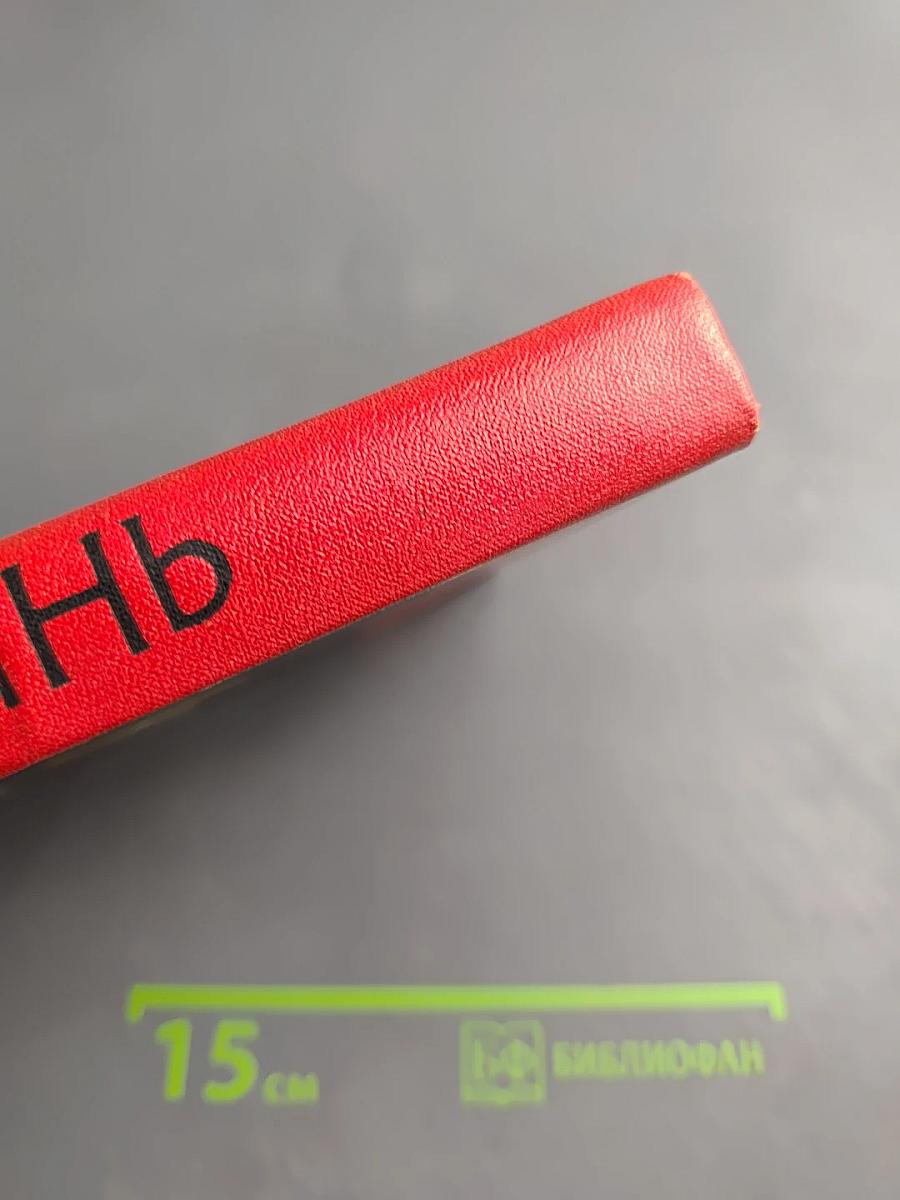 Пылали факелы во тьме