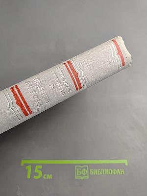 Северная Аврора