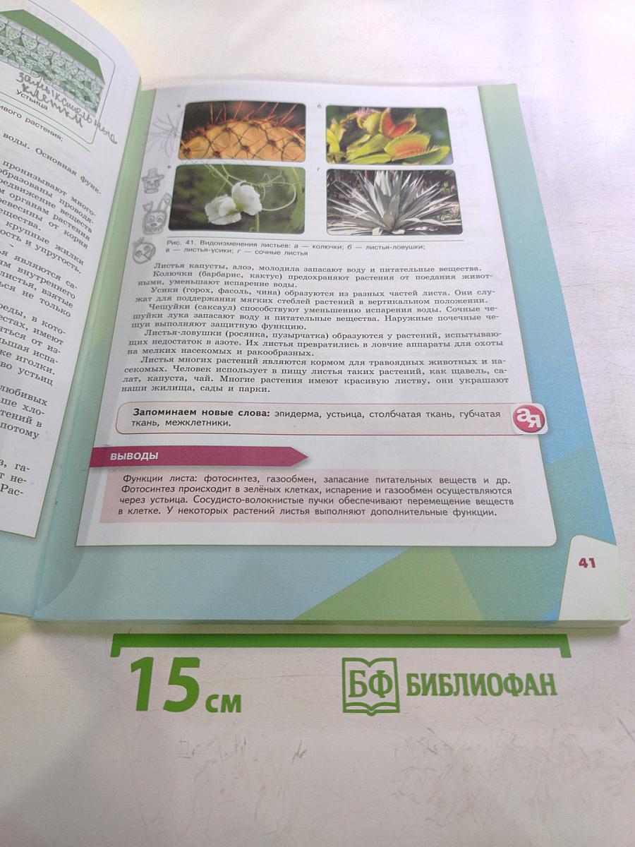 Биология 6 класс