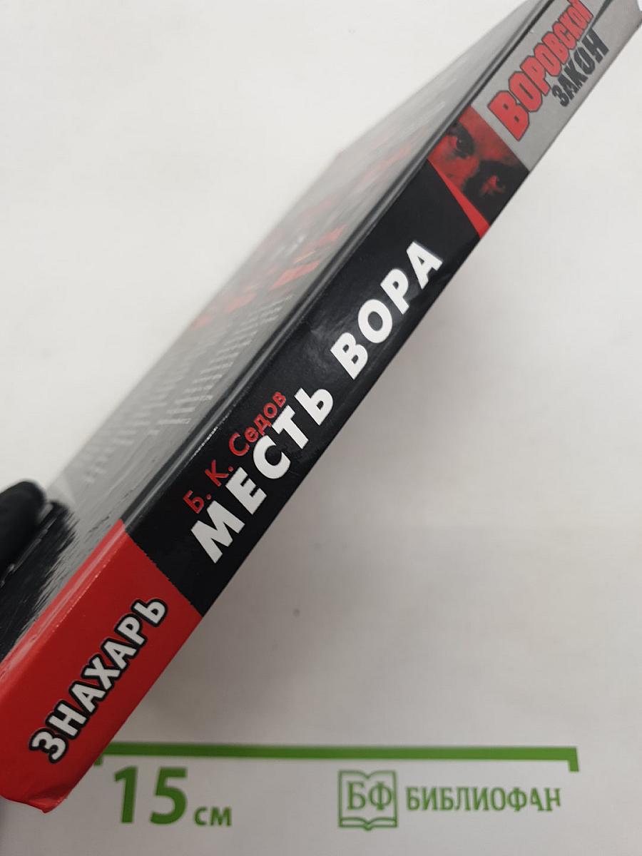 Знахарь. Месть вора