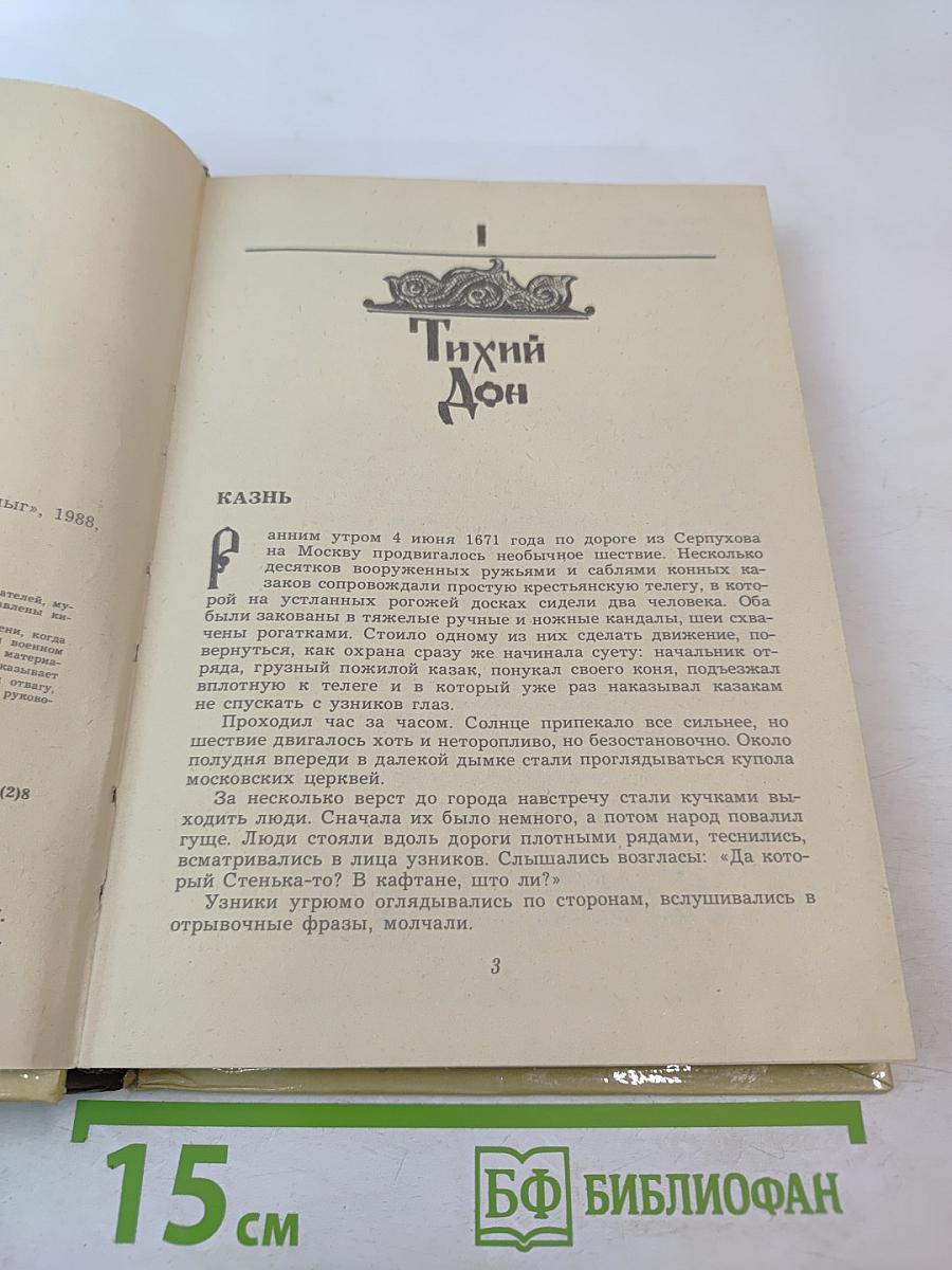 Степан Разин (Хроника XVII века)