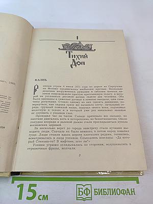 Степан Разин (Хроника XVII века)