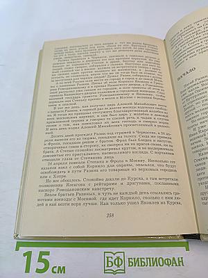 Степан Разин (Хроника XVII века)