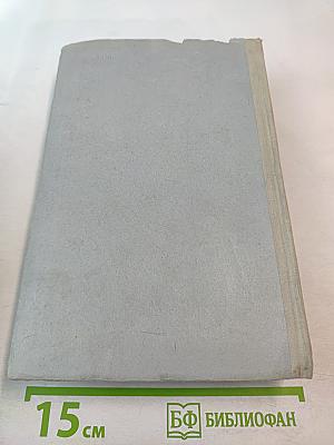 Виконт де Бражелон или Десять лет спустя. Том II