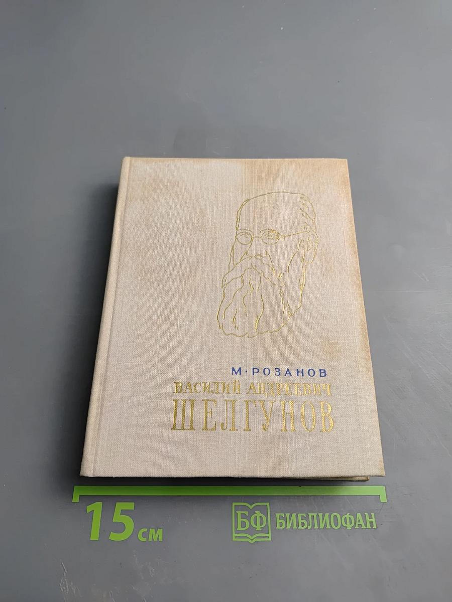 Василий Андреевич Шелгунов