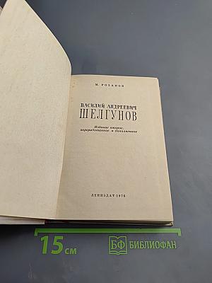 Василий Андреевич Шелгунов