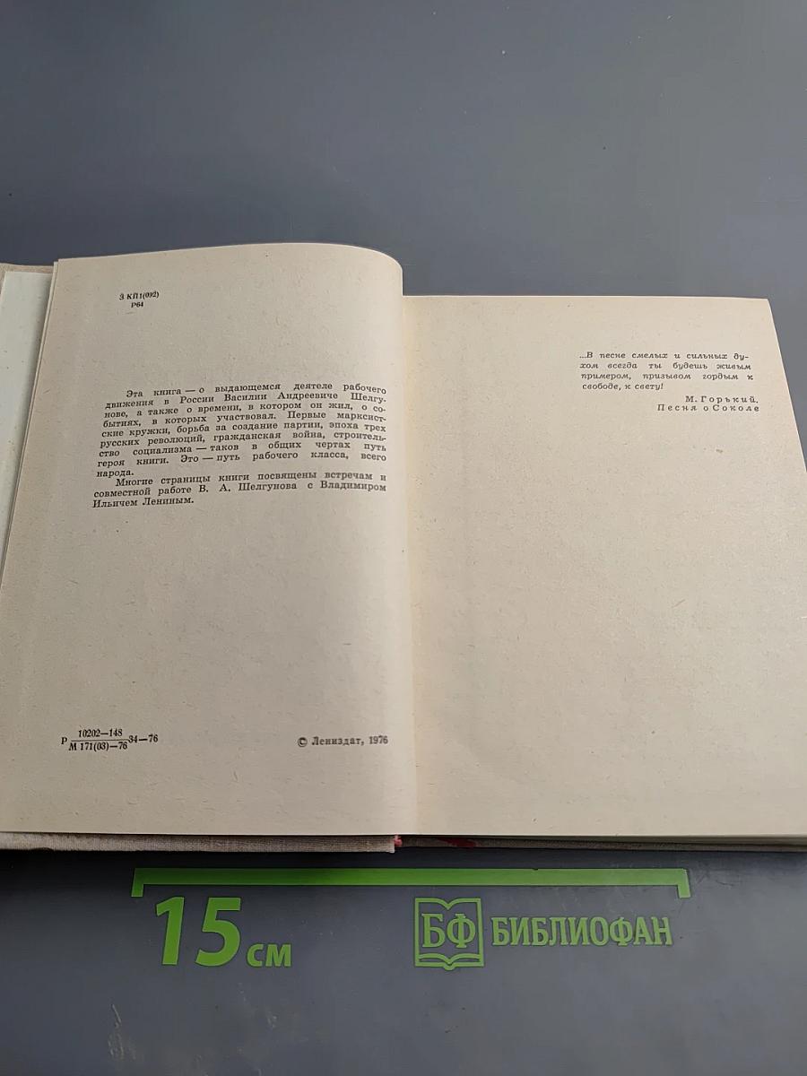 Василий Андреевич Шелгунов