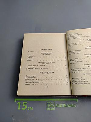 Василий Андреевич Шелгунов