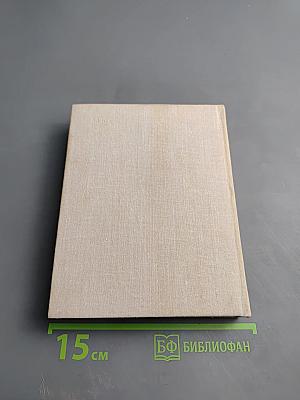 Василий Андреевич Шелгунов