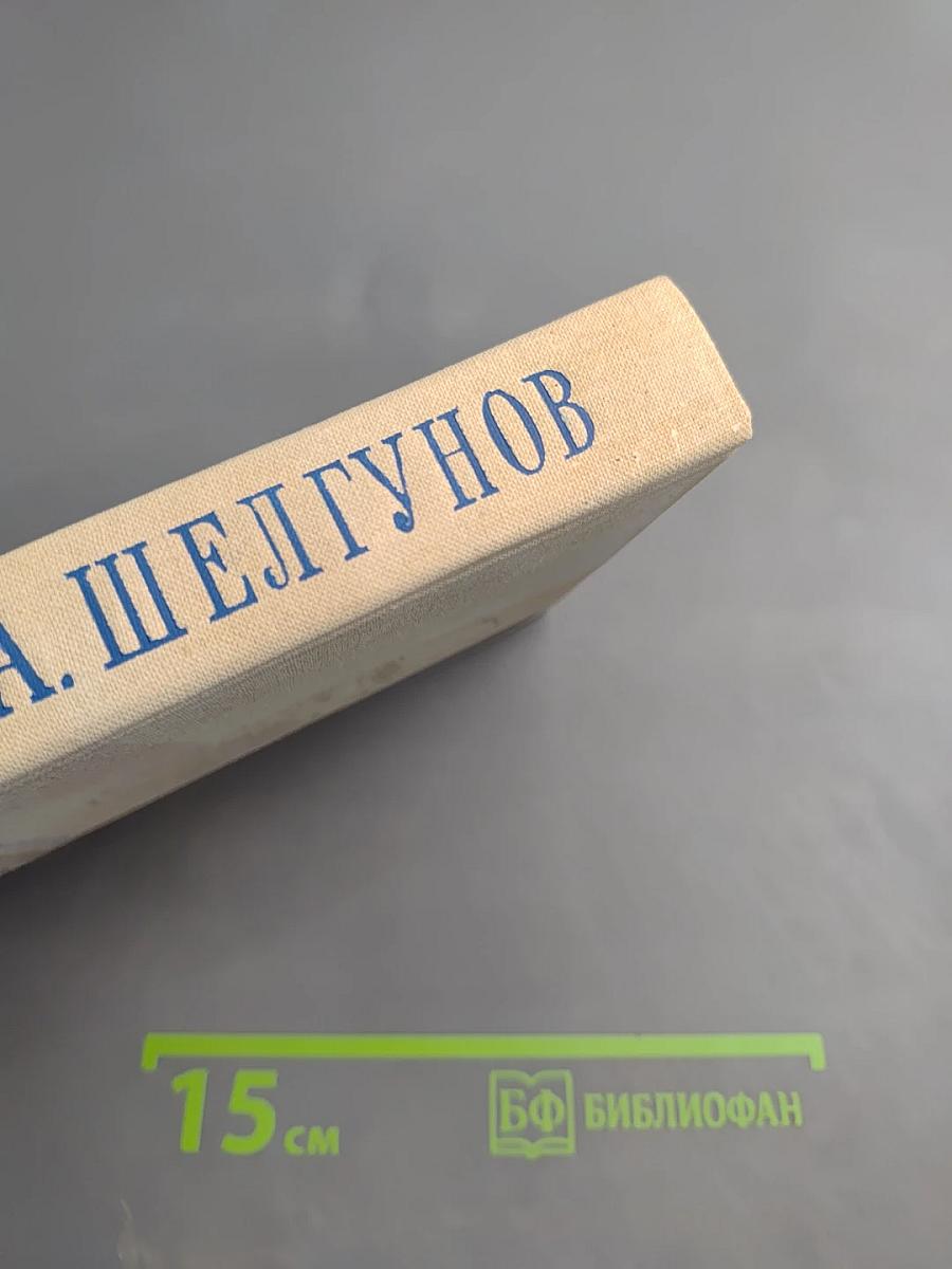 Василий Андреевич Шелгунов