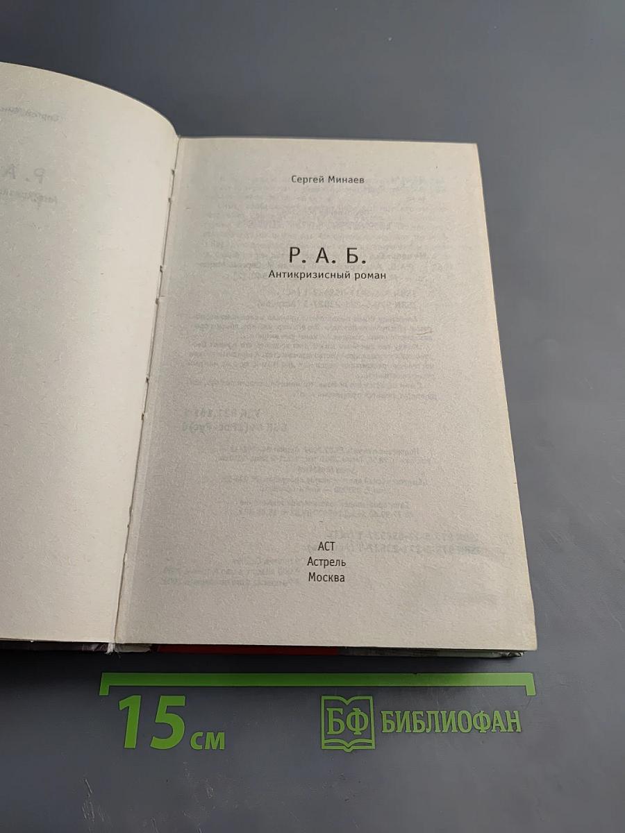Р.А.Б. Антикризисный роман