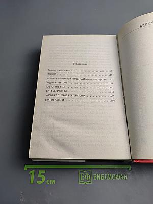 Р.А.Б. Антикризисный роман