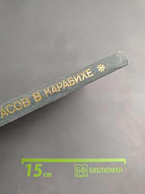 Некрасов в Карабихе