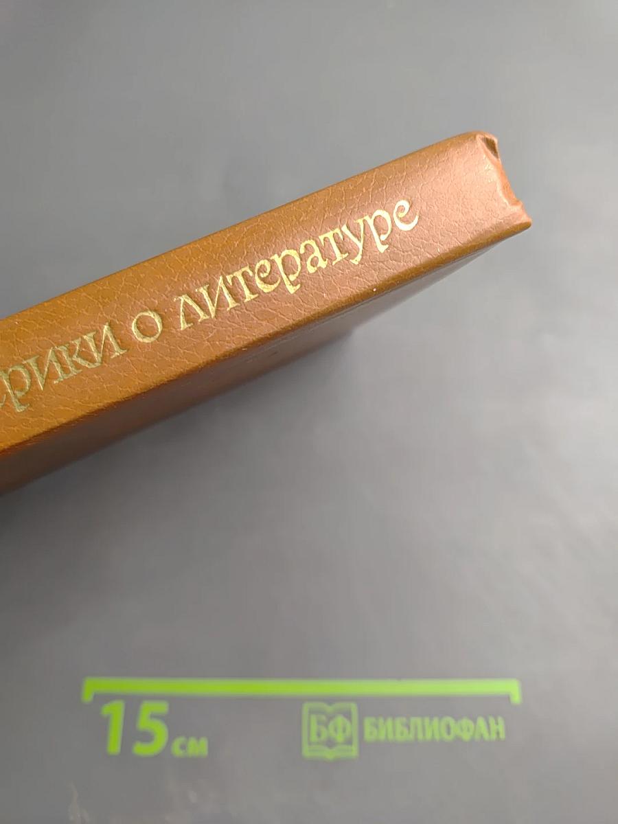 Писатели Латинской Америки о литературе