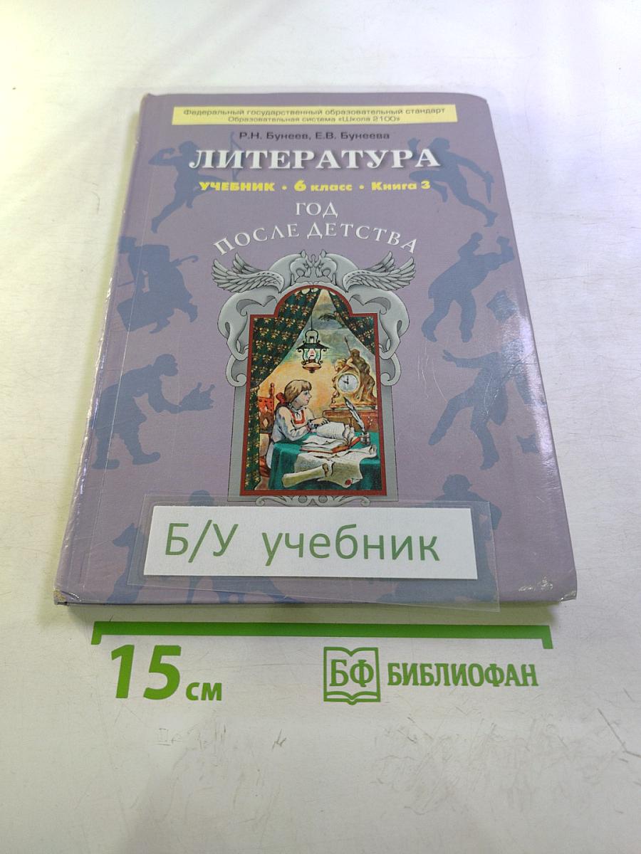 Литература. 6 класс. Книга 3. Год после детства