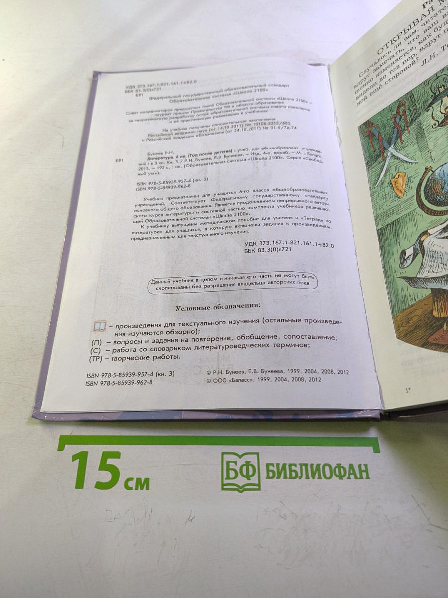 Литература. 6 класс. Книга 3. Год после детства