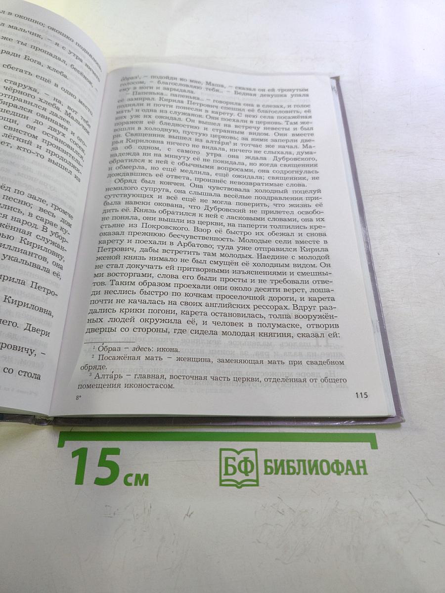 Литература. 6 класс. Книга 3. Год после детства