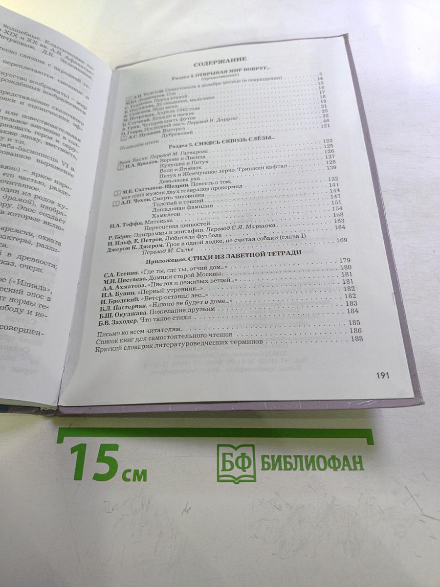 Литература. 6 класс. Книга 3. Год после детства