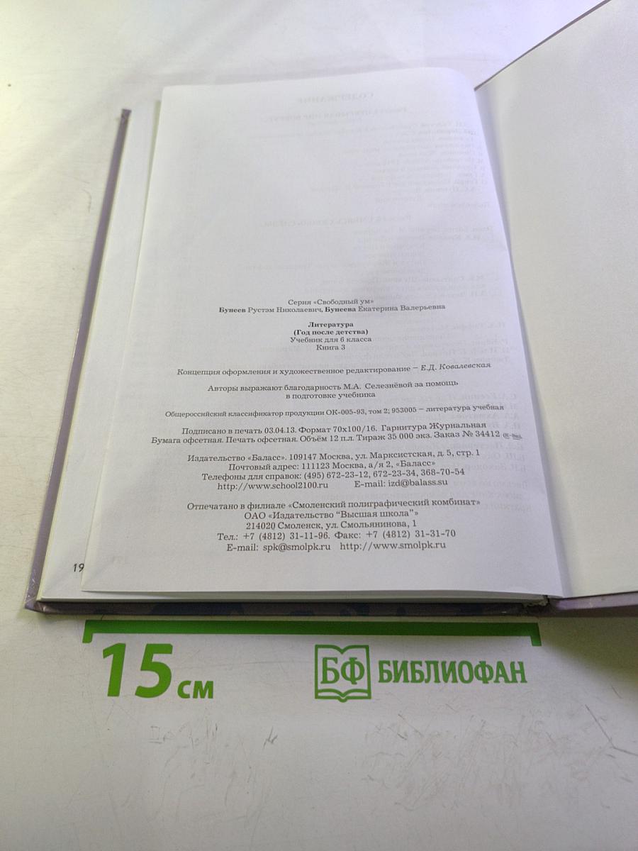 Литература. 6 класс. Книга 3. Год после детства