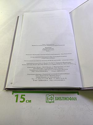 Литература. 6 класс. Книга 3. Год после детства