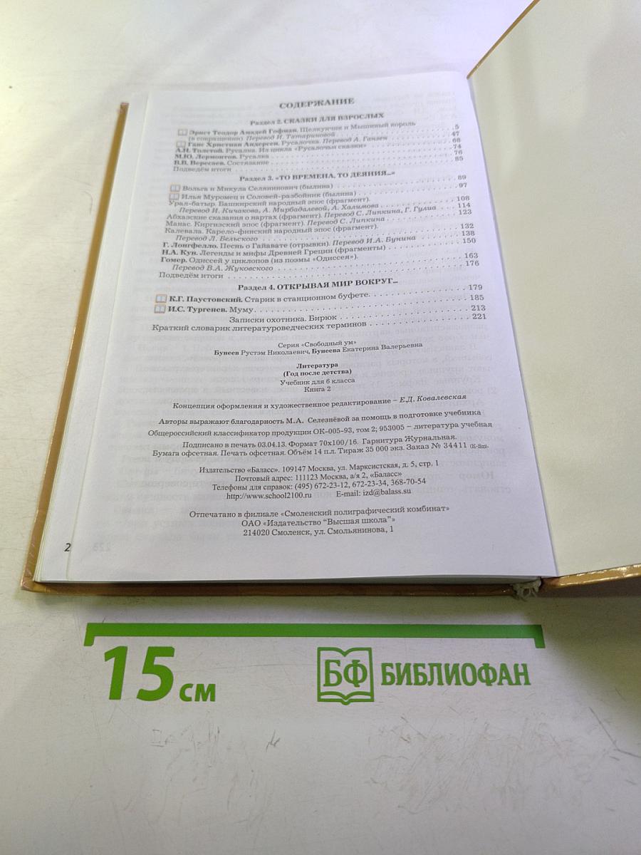 Литература. Учебник. 6 класс. Книга 2. Год после детства