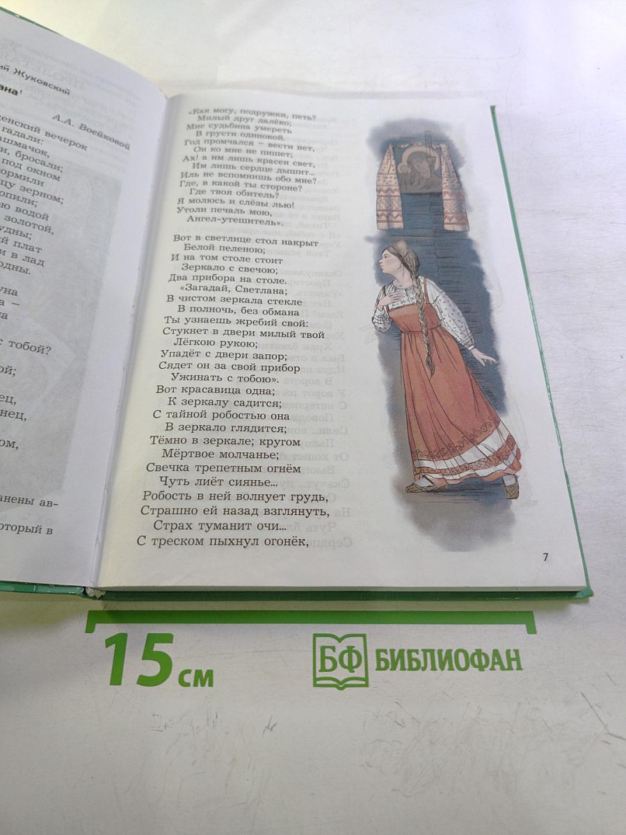 Литература. 6 класс. Книга 1. Год после детства