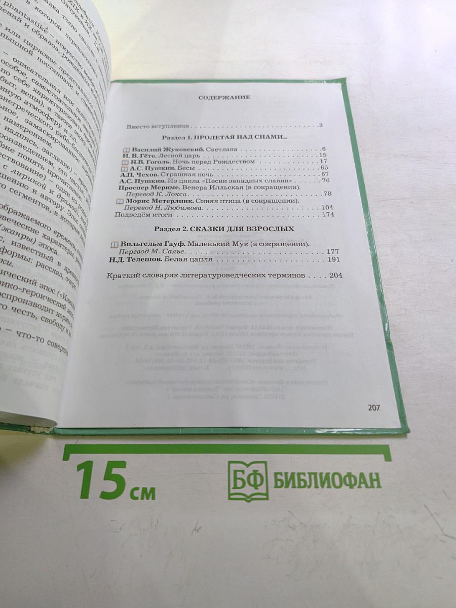 Литература. 6 класс. Книга 1. Год после детства