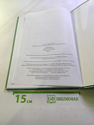 Литература. 6 класс. Книга 1. Год после детства