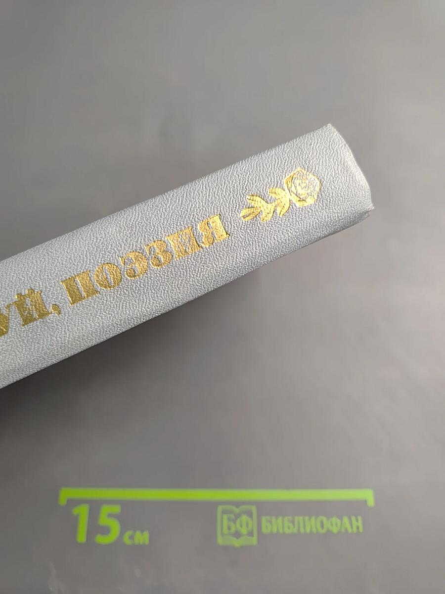 Здравствуй, поэзия