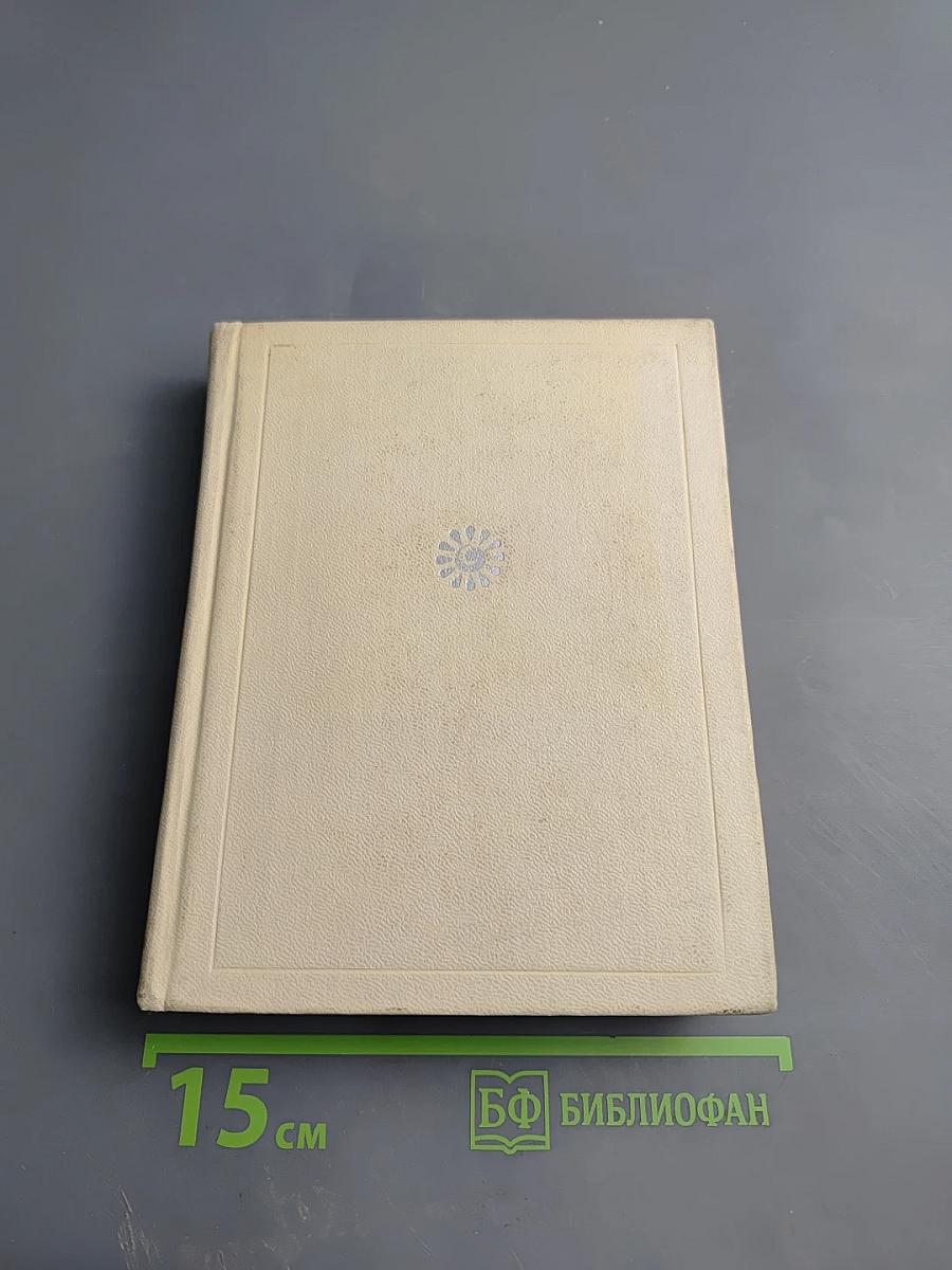 Корабельный бор