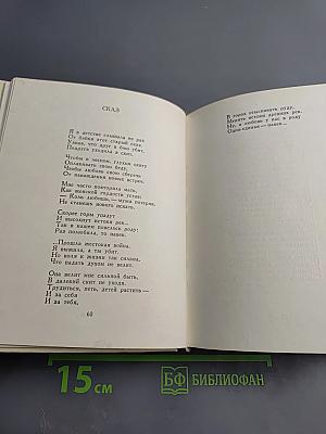 Корабельный бор