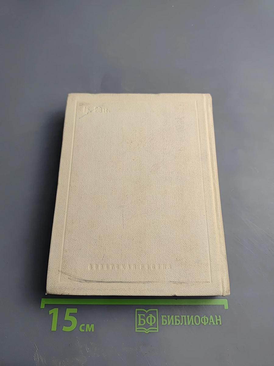 Корабельный бор